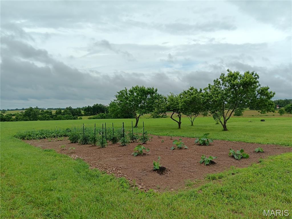 6991 Ely Road Hartville, MO 65667 - Photo 3 of 55