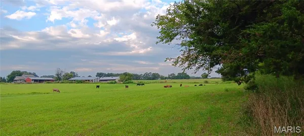 $479,000 | 6991 Ely Road, Hartville, MO 65667