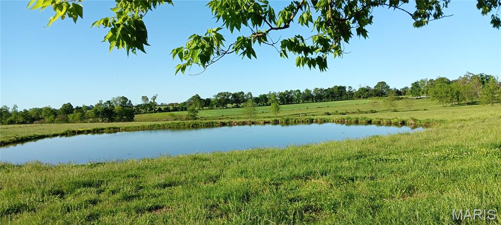 6991 Ely Road Hartville, MO 65667 - Photo 5 of 55