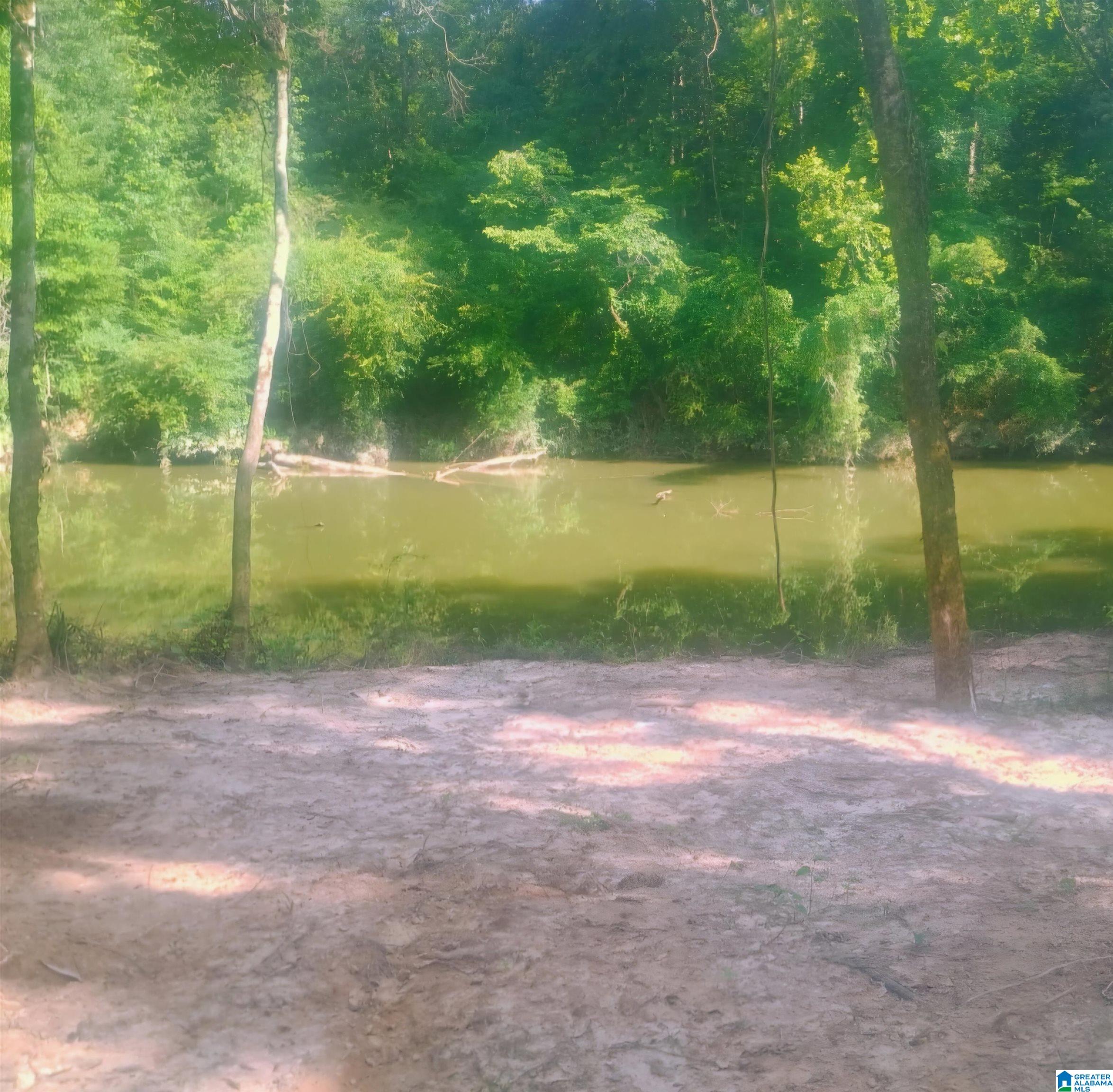 150 Harts Ferry Road, Unit 150 Ohatchee, AL 36271 - Photo 7 of 15
