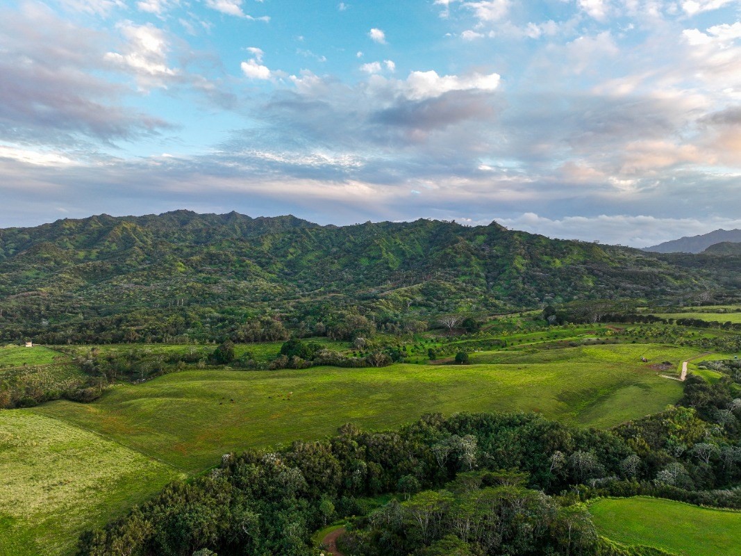 Kapuna Road, Unit 4, Kilauea, HI 96754 Compass