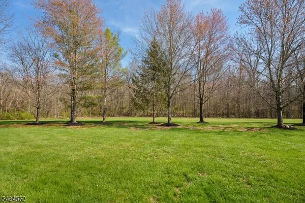 $1,850,000 | 33 Saddlewood Court, Belle Mead, NJ 08502
