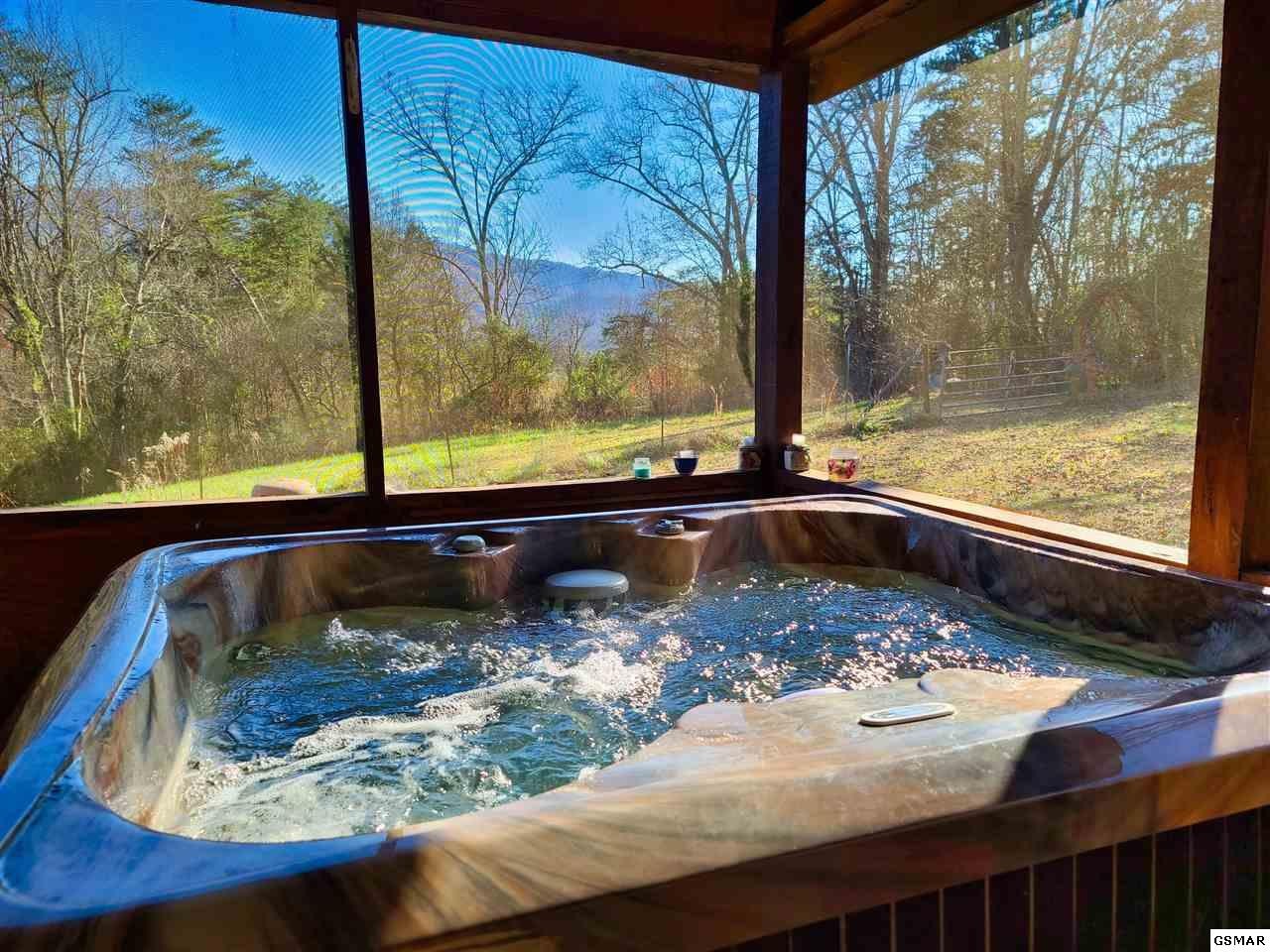 3018 Hatcher Mountain Road Sevierville, TN 37862 - Photo 28 of 30