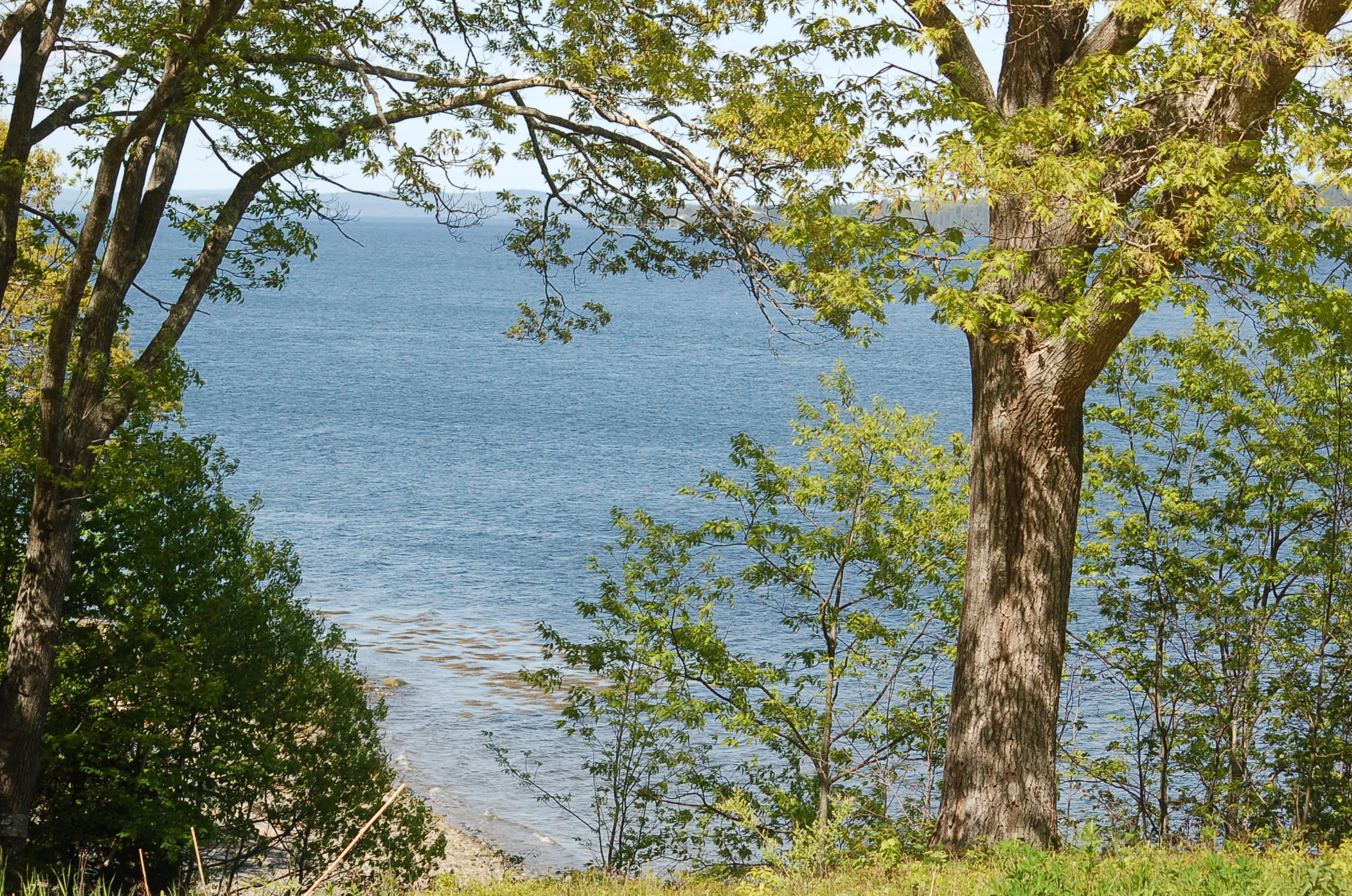 255 Shore Road Northport, ME 04849 - Photo 5 of 20 255 Shore Rd View 2