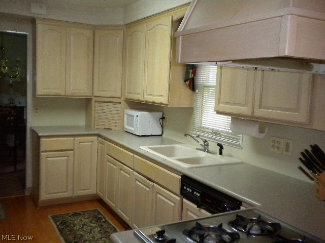842 Quilliams Road Cleveland Heights, OH 44121 - Photo 3 of 14