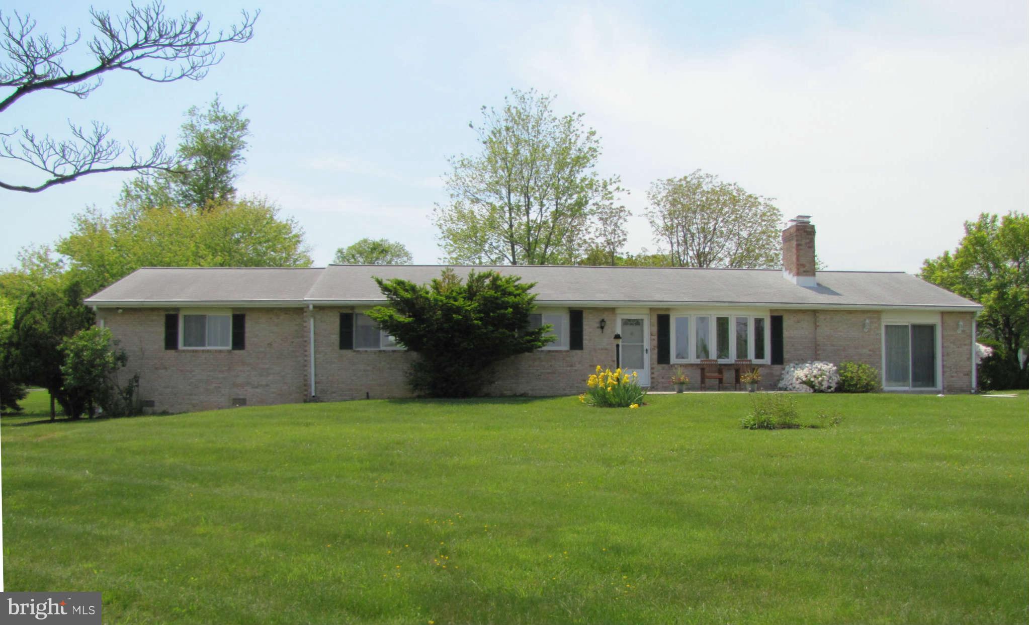 a view of a house with a yard and potted plants