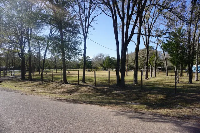 a view of a backyard with large trees