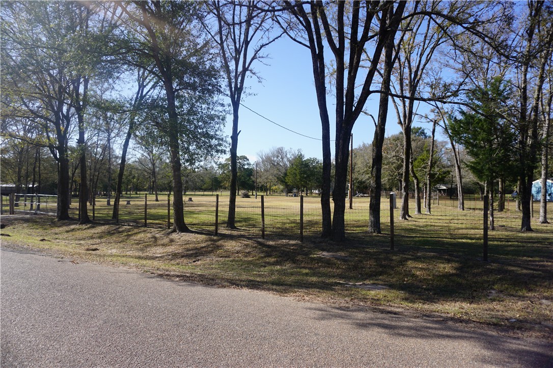 a view of a backyard with large trees