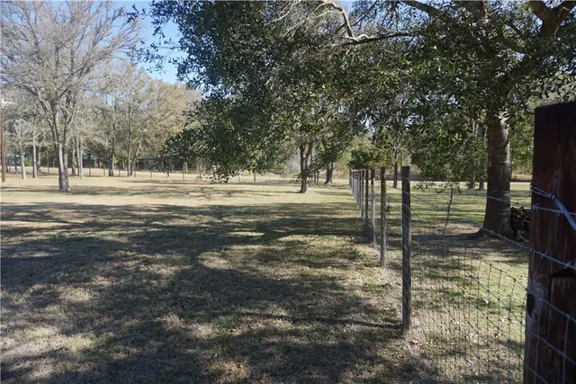 a view of a yard with large trees