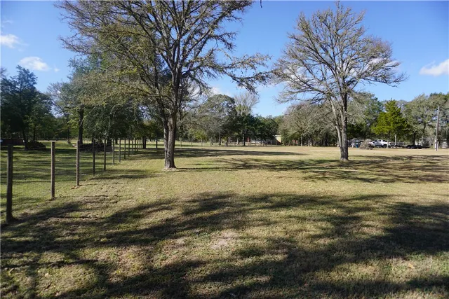 a view of a yard with a tree