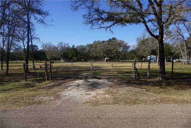 a view of park with trees
