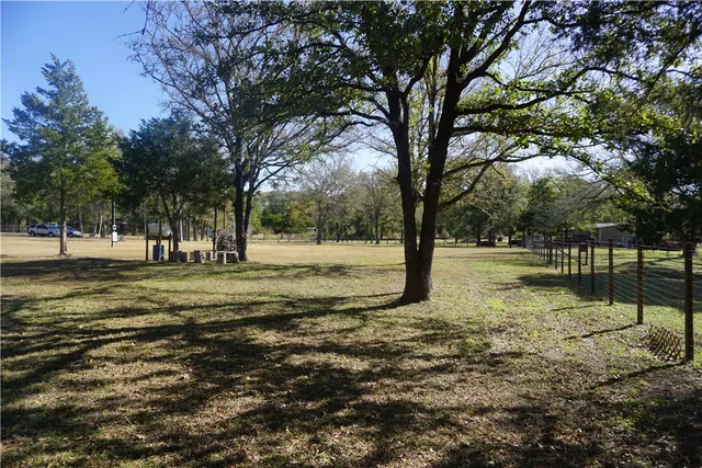 a view of yard with trees