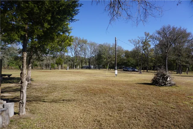 a view of yard with tree