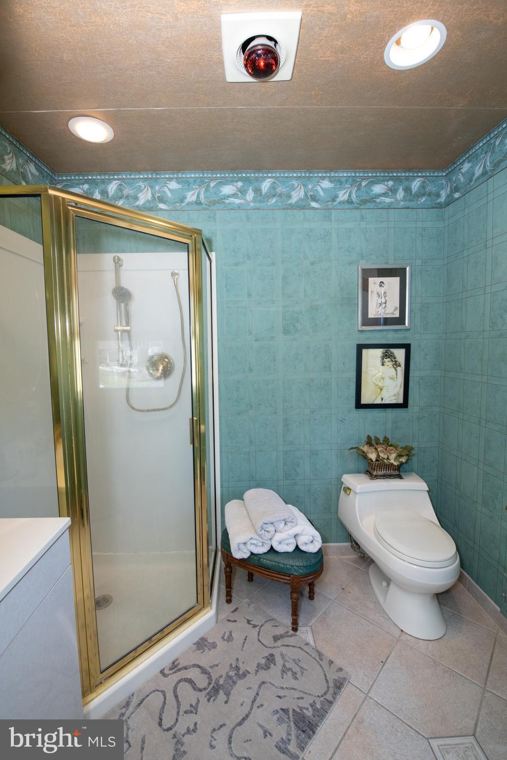 1166 Mettler Road Huntingdon Valley, PA 19006 - Photo 30 of 54 Primary Bath
