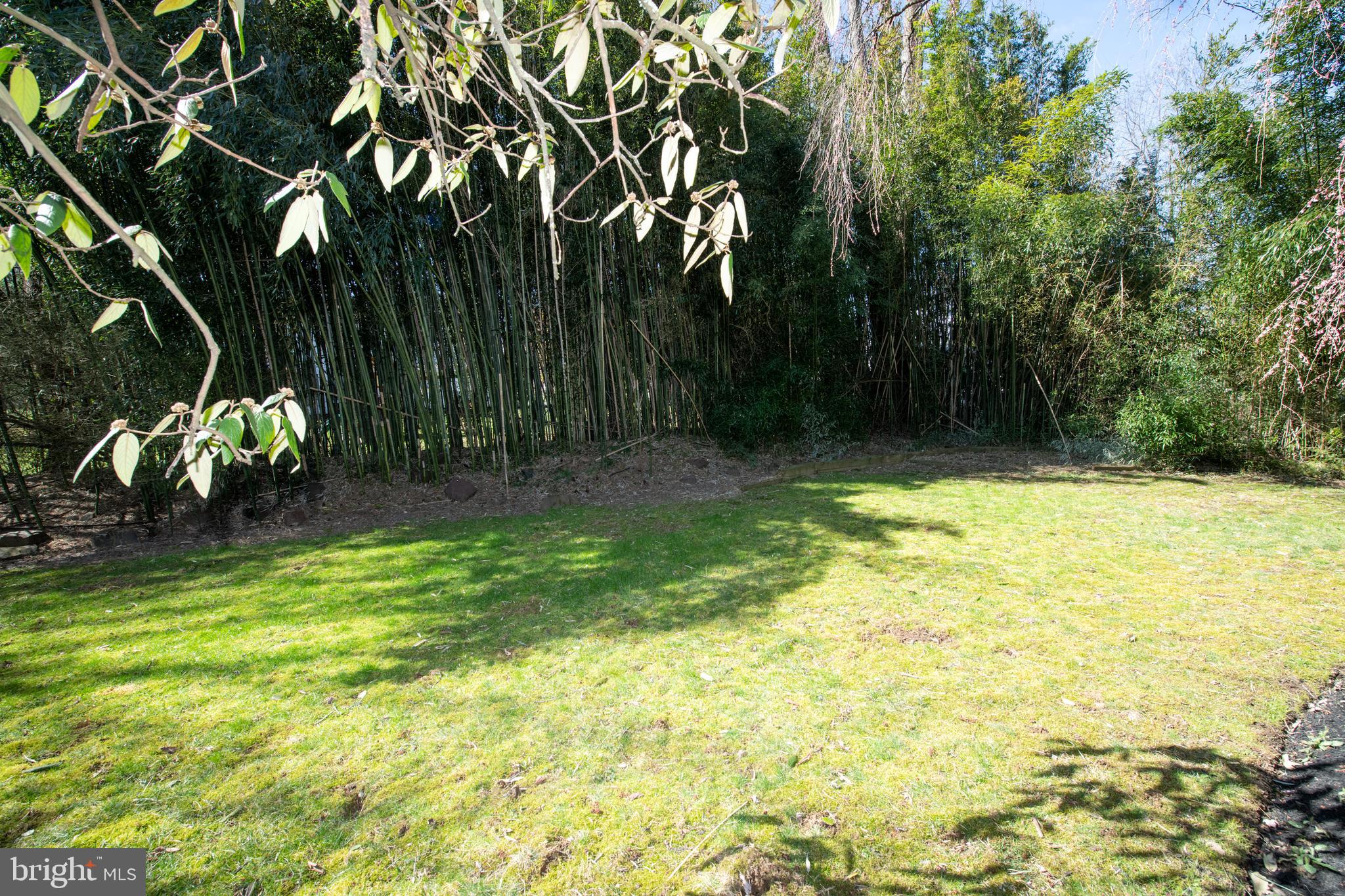 1166 Mettler Road Huntingdon Valley, PA 19006 - Photo 53 of 54 Backyard