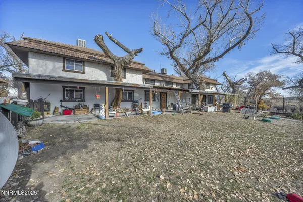 a view of a dry yard with trees