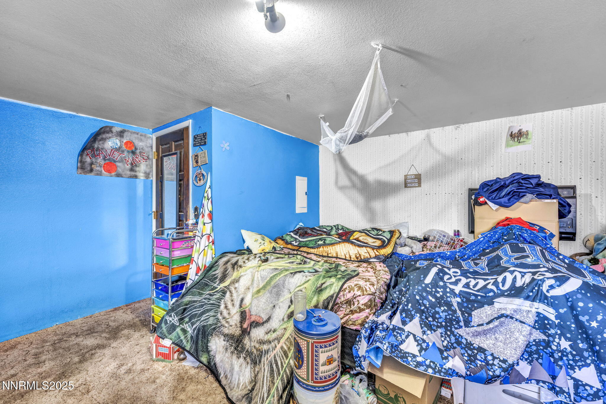 15533 Fisherman Road Fallon, NV 89406 - Photo 64 of 70 58-web-or-mls-15533-fisherman-rd
