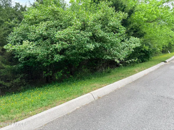 $25,000 | Wedge Way, Tazewell, TN 37879