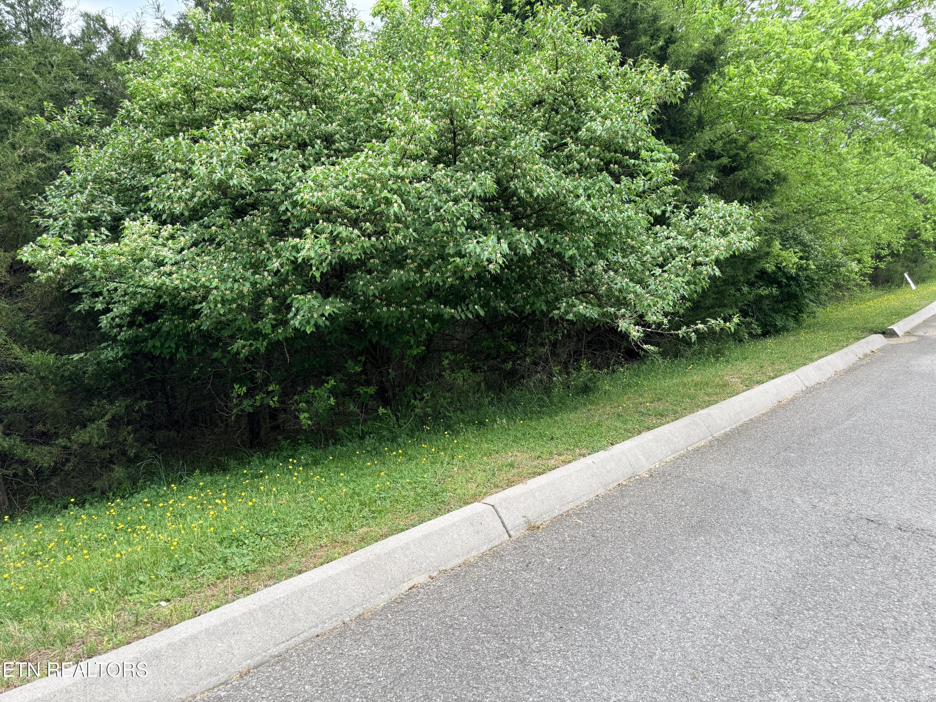 Lot 206 Wedge Way
