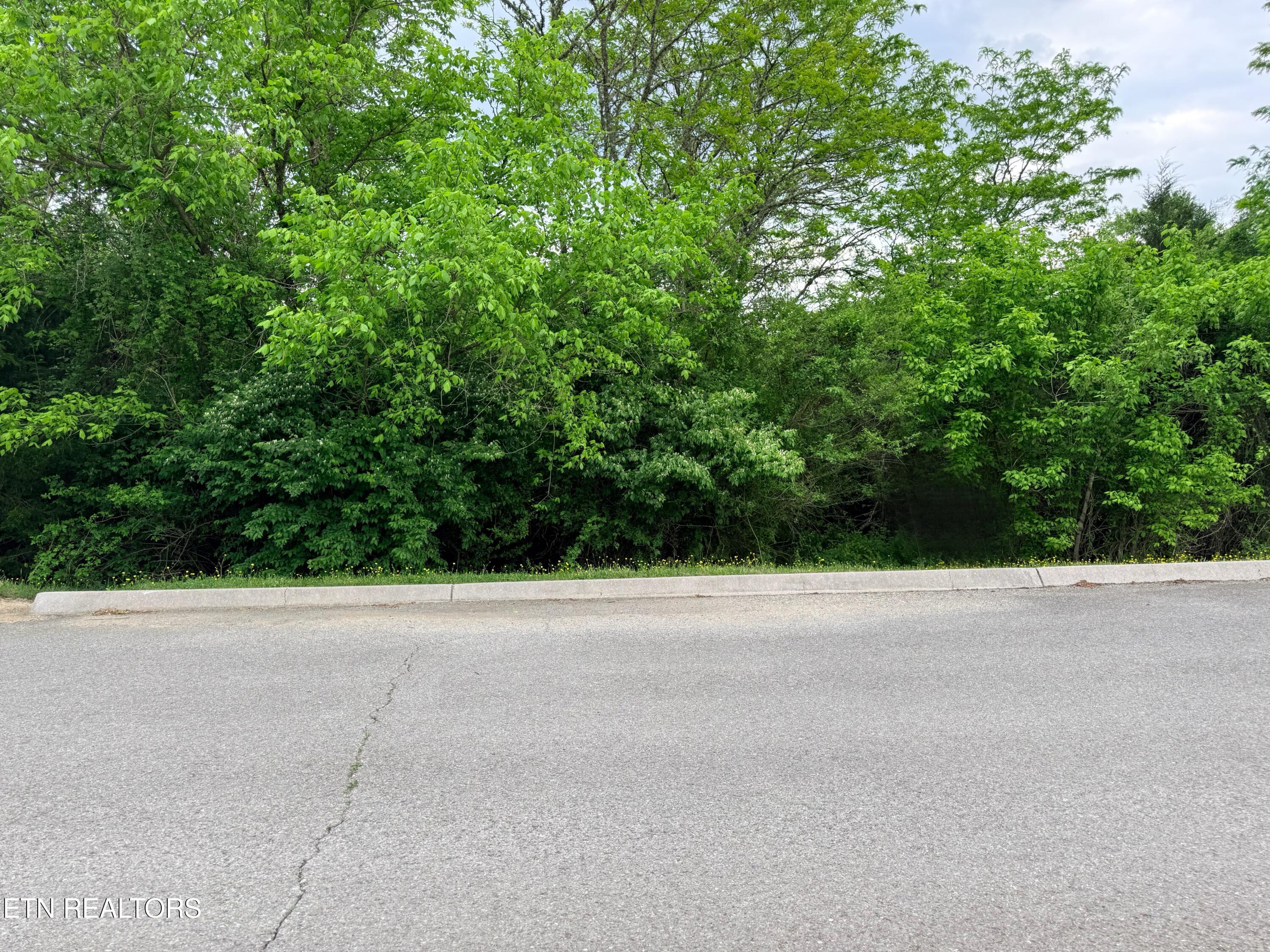 Wedge Way Tazewell, TN 37879 - Photo 12 of 29 Lot 206 Wedge Way