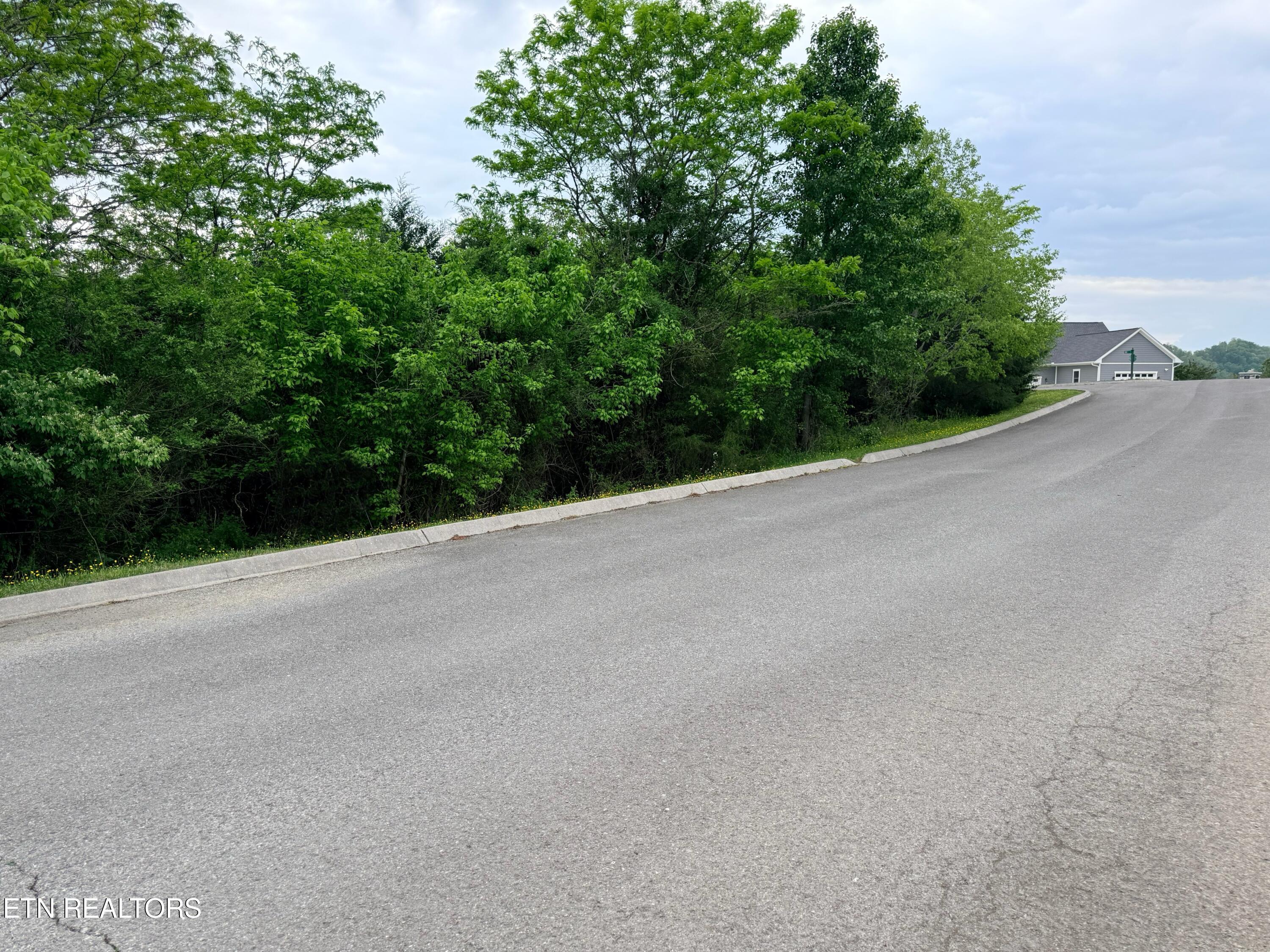 Wedge Way Tazewell, TN 37879 - Photo 13 of 29 Lot 206 Wedge Way
