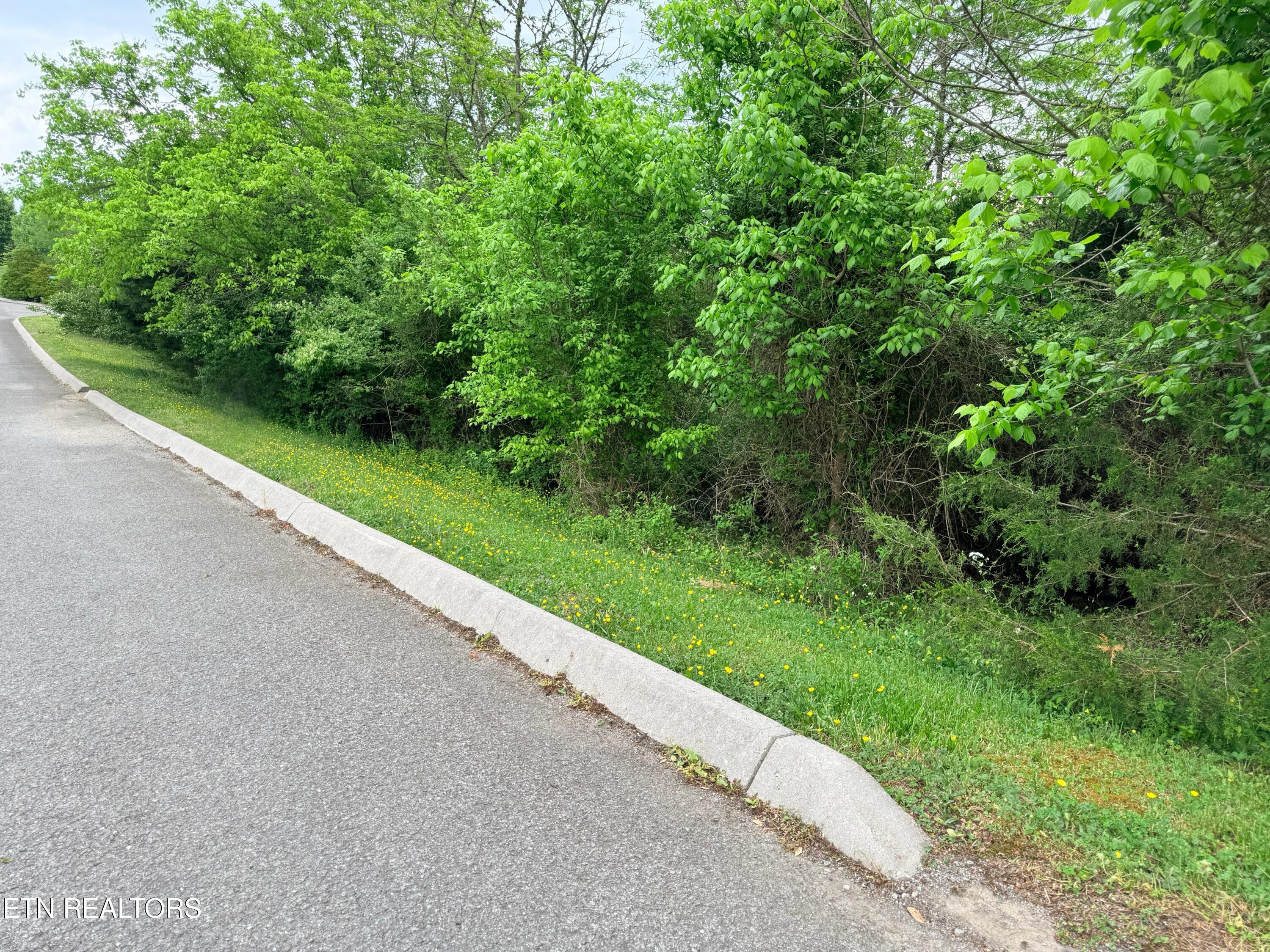 Wedge Way Tazewell, TN 37879 - Photo 14 of 29 Lot 206 Wedge Way