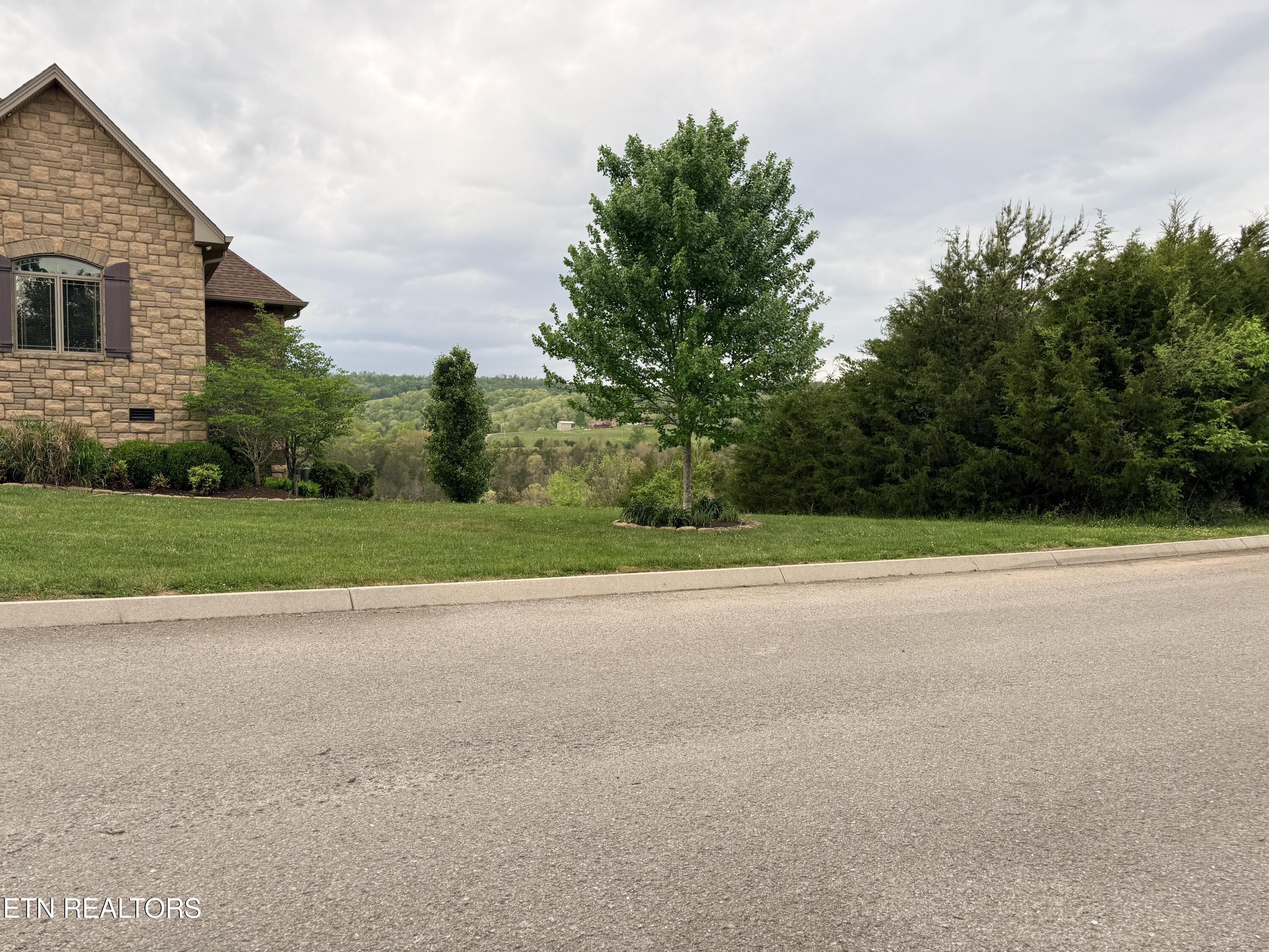 Wedge Way Tazewell, TN 37879 - Photo 16 of 29 View Across from Lot 206