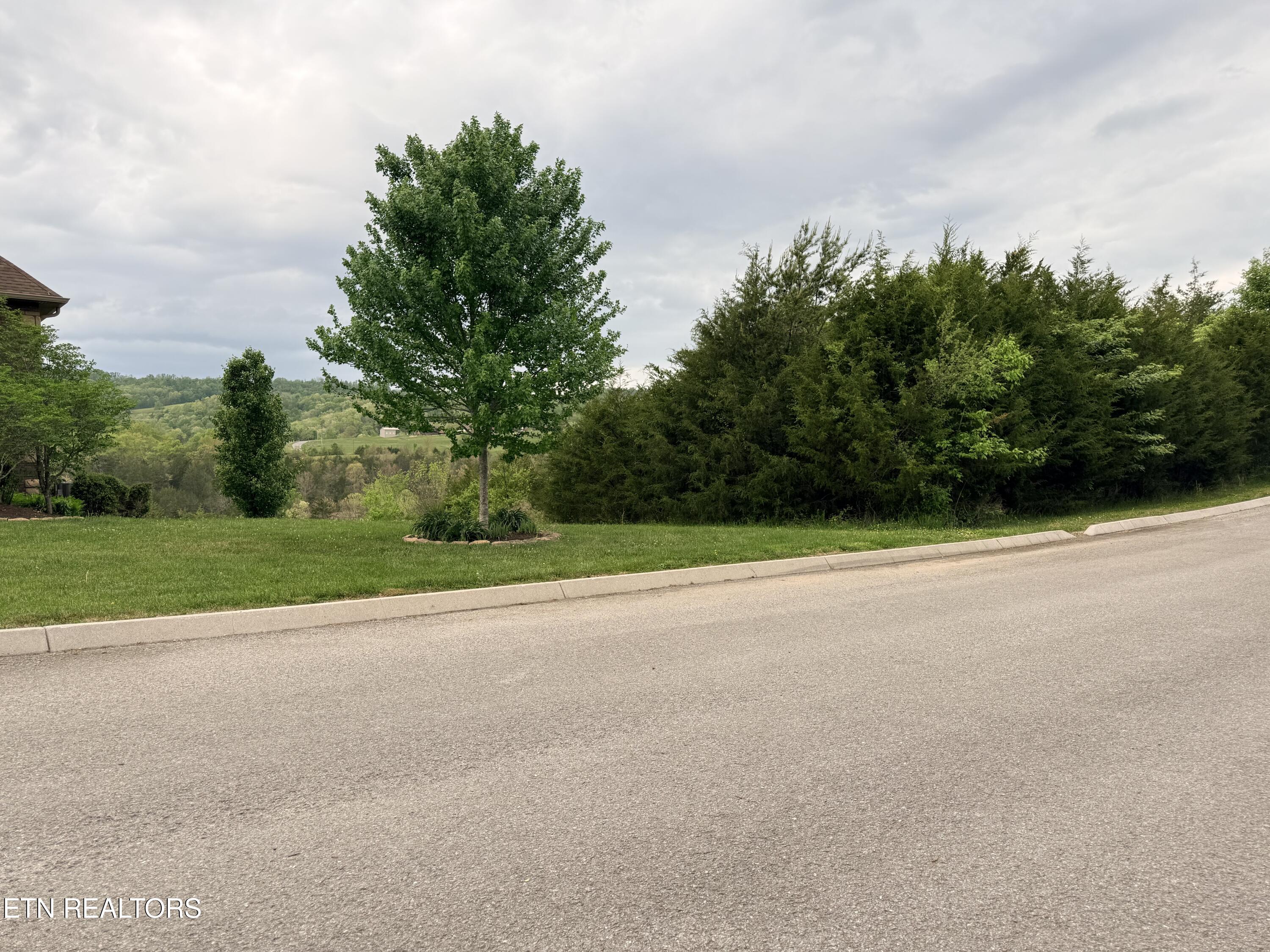Wedge Way Tazewell, TN 37879 - Photo 17 of 29 View Across from Lot 206