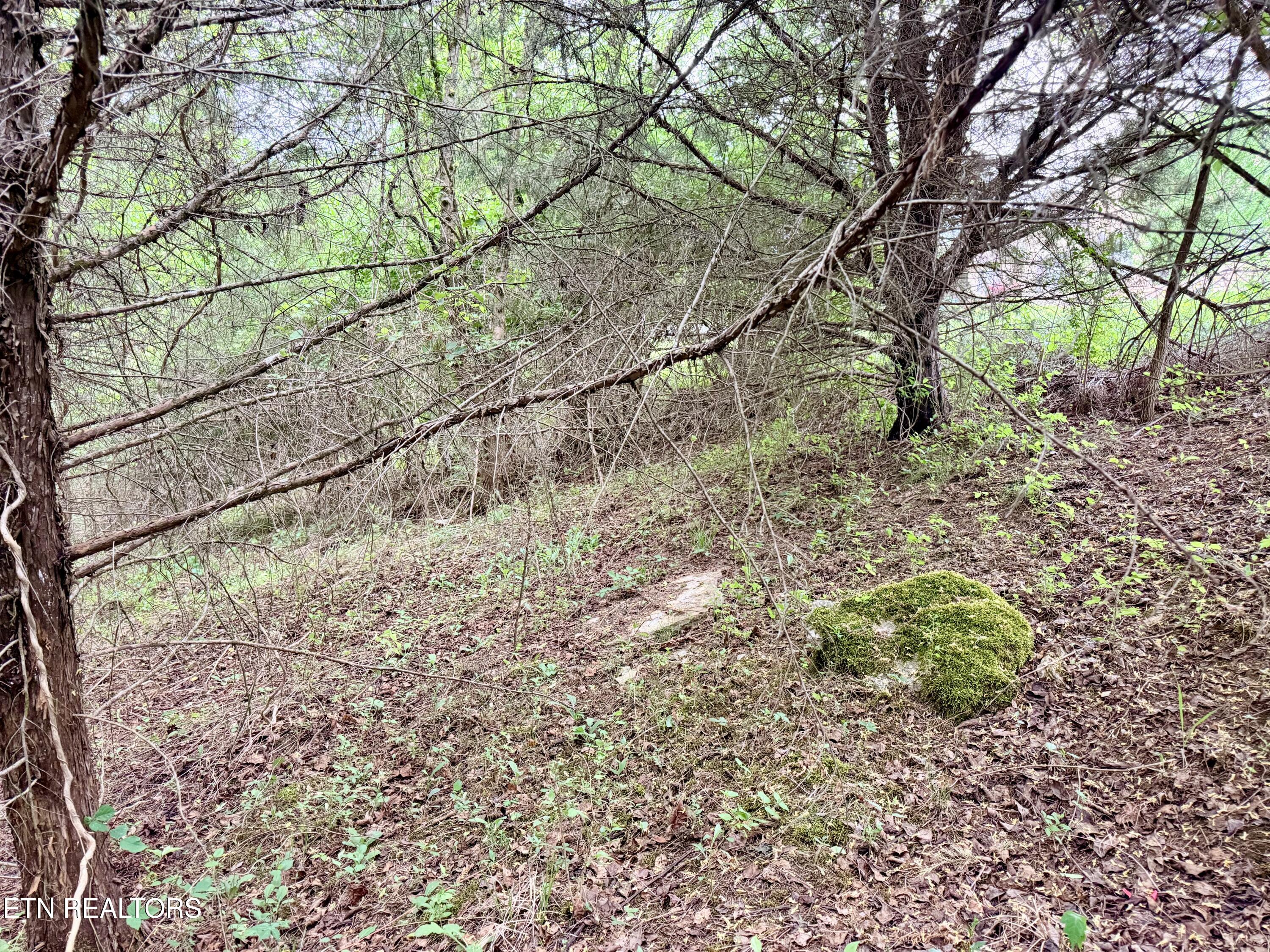 Wedge Way Tazewell, TN 37879 - Photo 3 of 29 Lot 206 Wedge Way