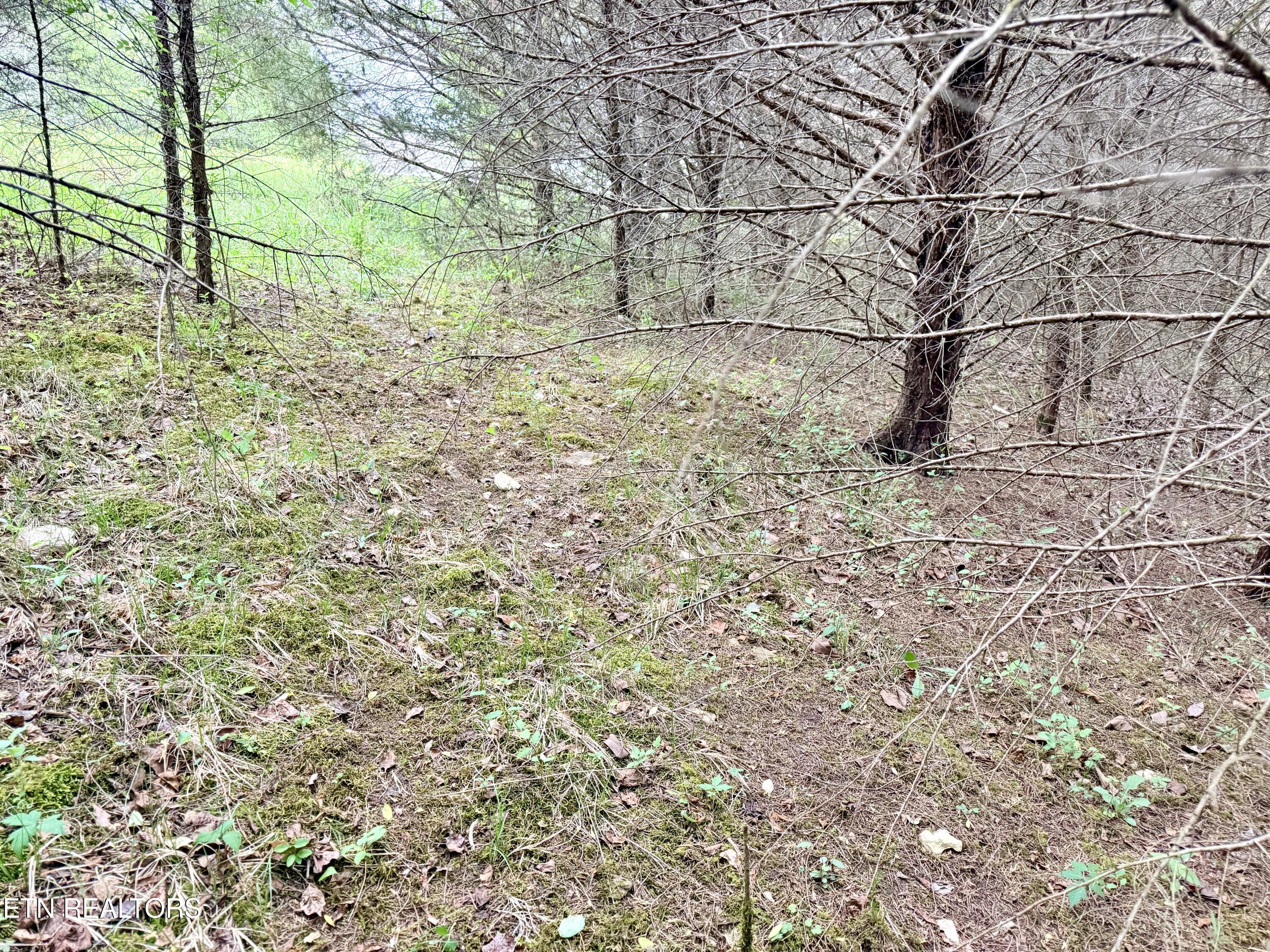 Wedge Way Tazewell, TN 37879 - Photo 6 of 29 Lot 206 Wedge Way
