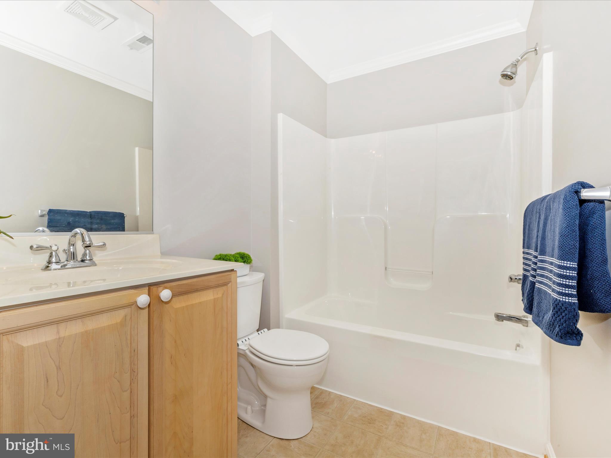 2508 Shelley Circle, Unit 8 1A Frederick, MD 21702 - Photo 19 of 48 a bathroom with a bathtub shower sink vanity and toilet