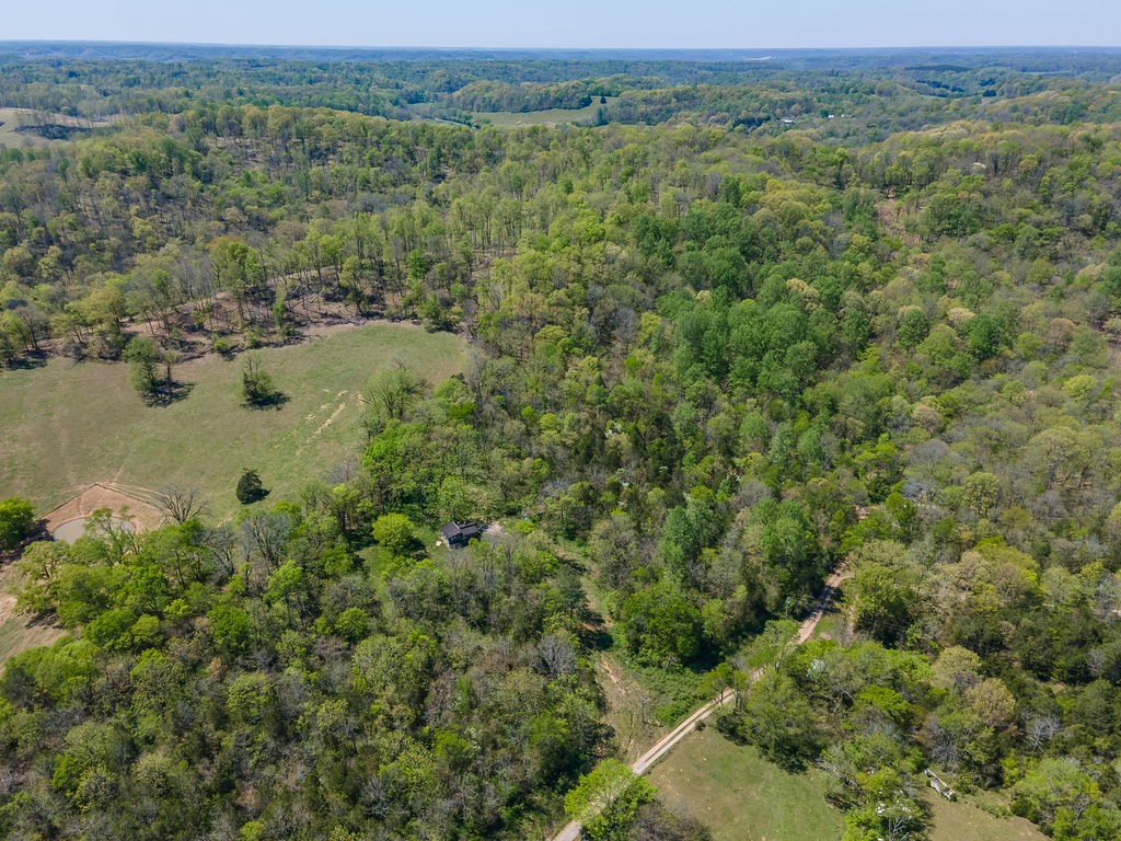 0 Williams Road Cornersville, TN 37047 - Photo 4 of 7 Gallery Image 4