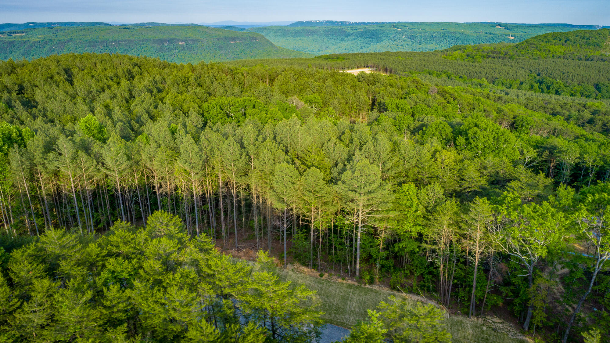 0 Cannon Way, Unit LOT 1317 Guild, TN 37340 - Photo 24 of 99 0 Cannon Way - Lot 1317 HD-8