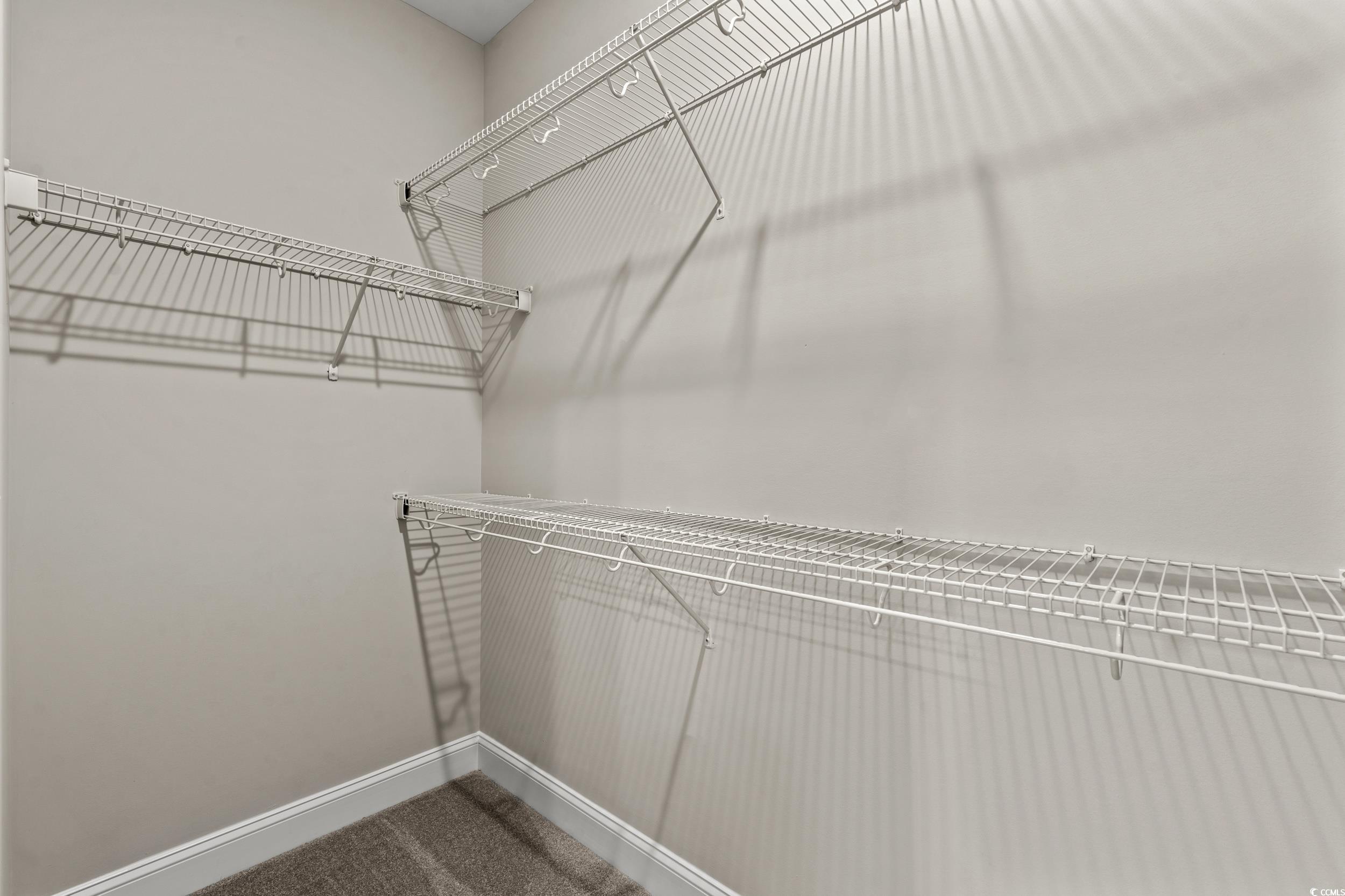 344 Kiskadee Loop, Unit E Conway, SC 29526 - Photo 14 of 36 Walk in closet featuring carpet flooring