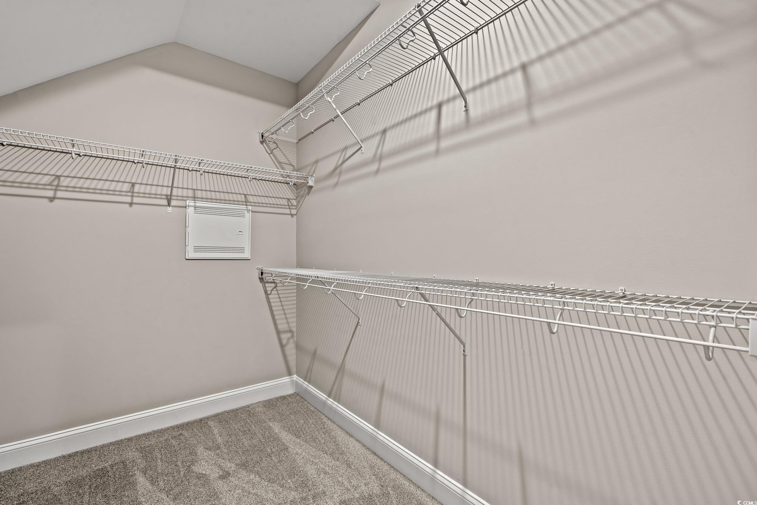 344 Kiskadee Loop, Unit E Conway, SC 29526 - Photo 24 of 36 Walk in closet featuring carpet