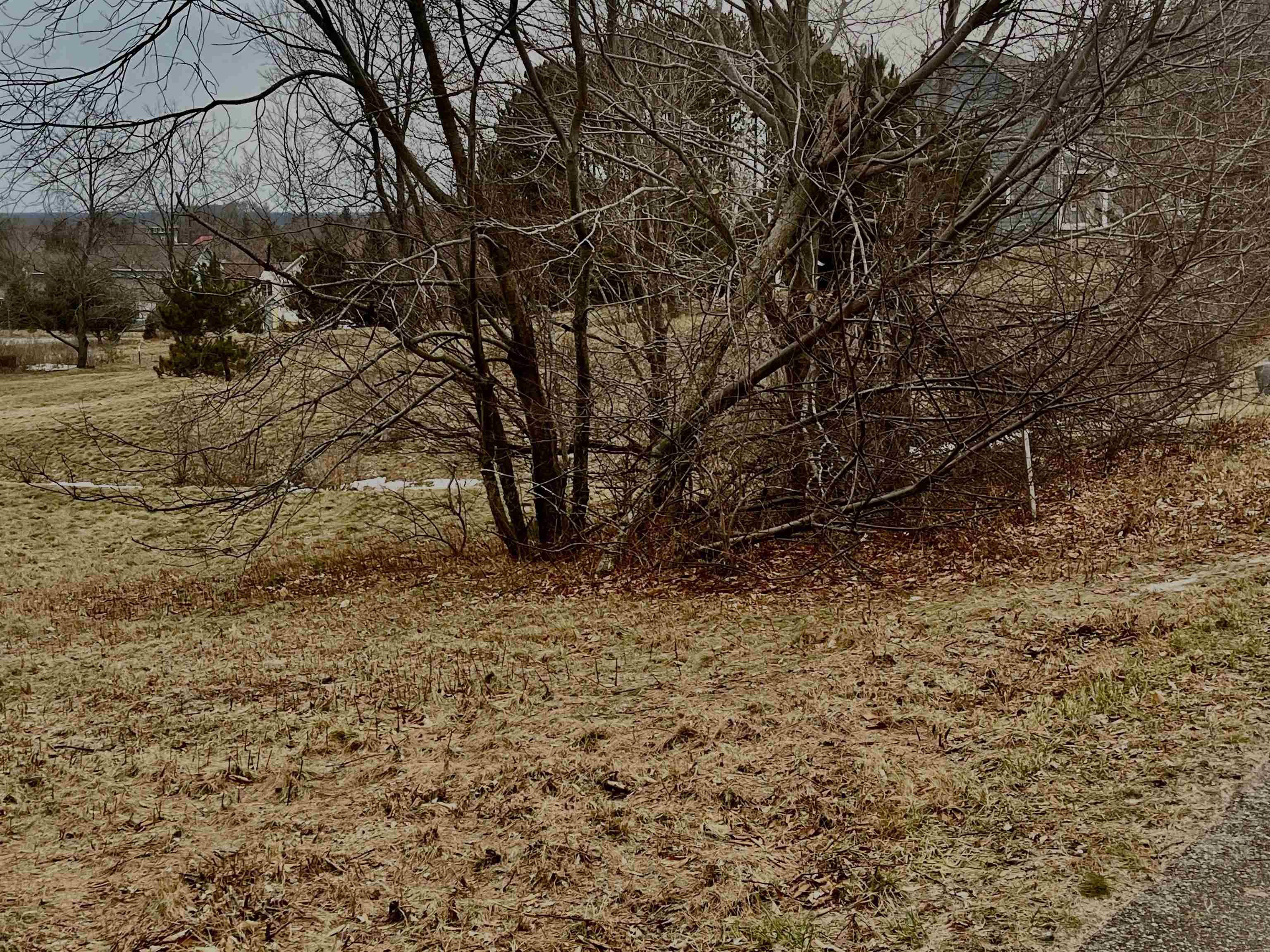 73 South Roen Drive, Unit LOT: 73 Empire, MI 49630 - Photo 10 of 12