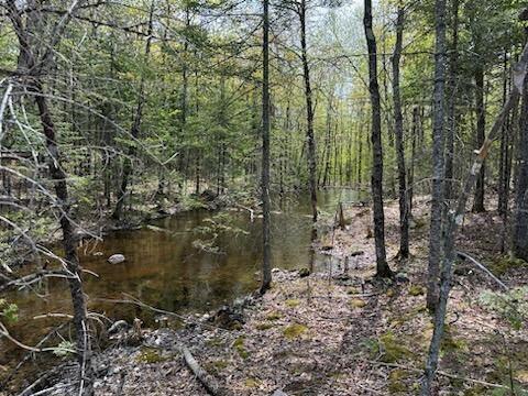 452 Devils Head Road St. Albans, ME 04971 - Photo 20 of 24 0-1