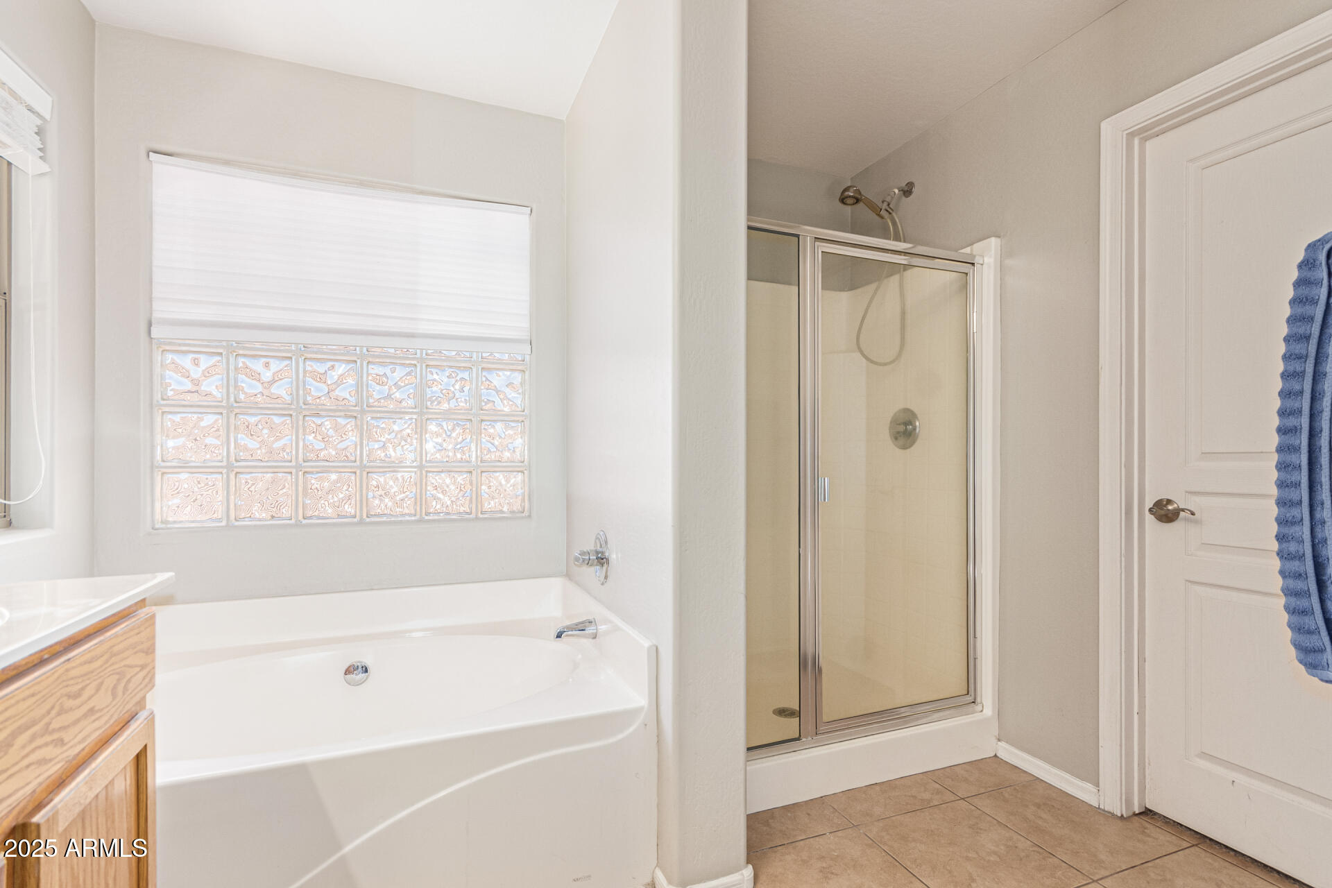 3802 East Chickadee Road Gilbert, AZ 85297 - Photo 17 of 29 a bathroom with a bathtub and a shower