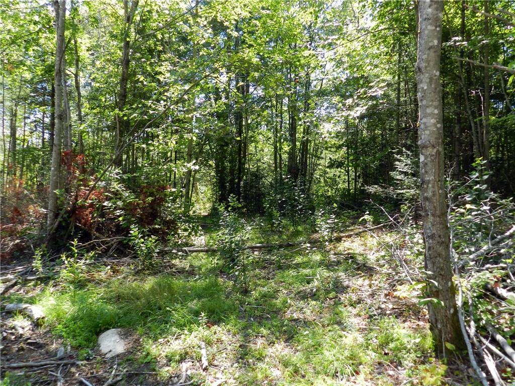0 Todds Corner Road St. Albans, ME 04971 - Photo 7 of 14 Photo