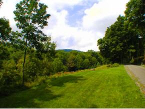684 Park Laughton Road Dummerston, VT 05346 - Photo 9 of 12
