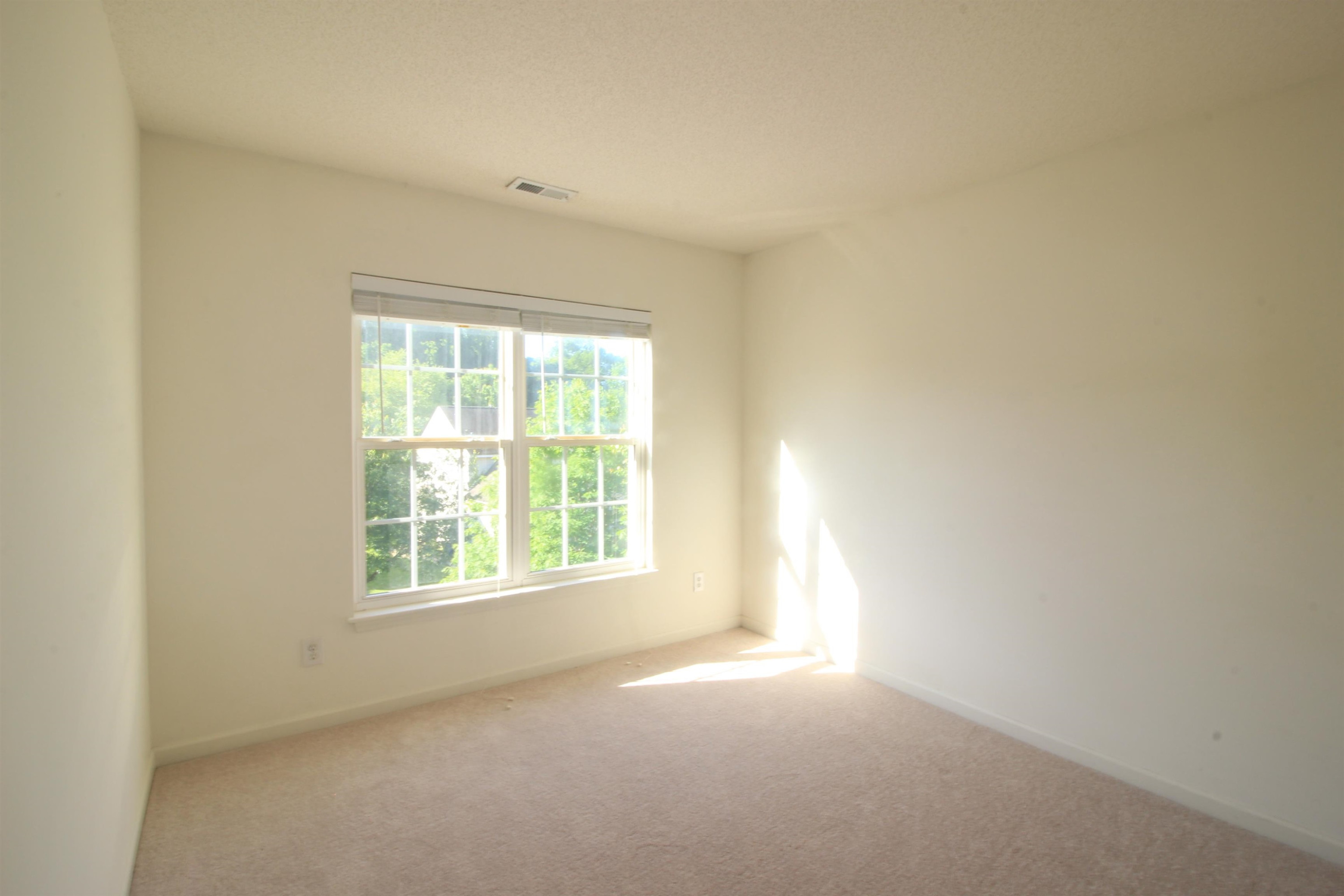 2517 Spruce Shadows Lane Raleigh, NC 27614 - Photo 20 of 25 Photo 20