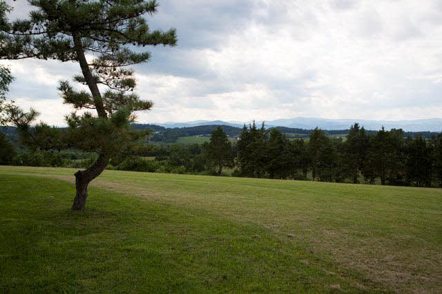984 Ridge Road Bridgewater, VA 22812 - Photo 26 of 29 a view of field with tall trees