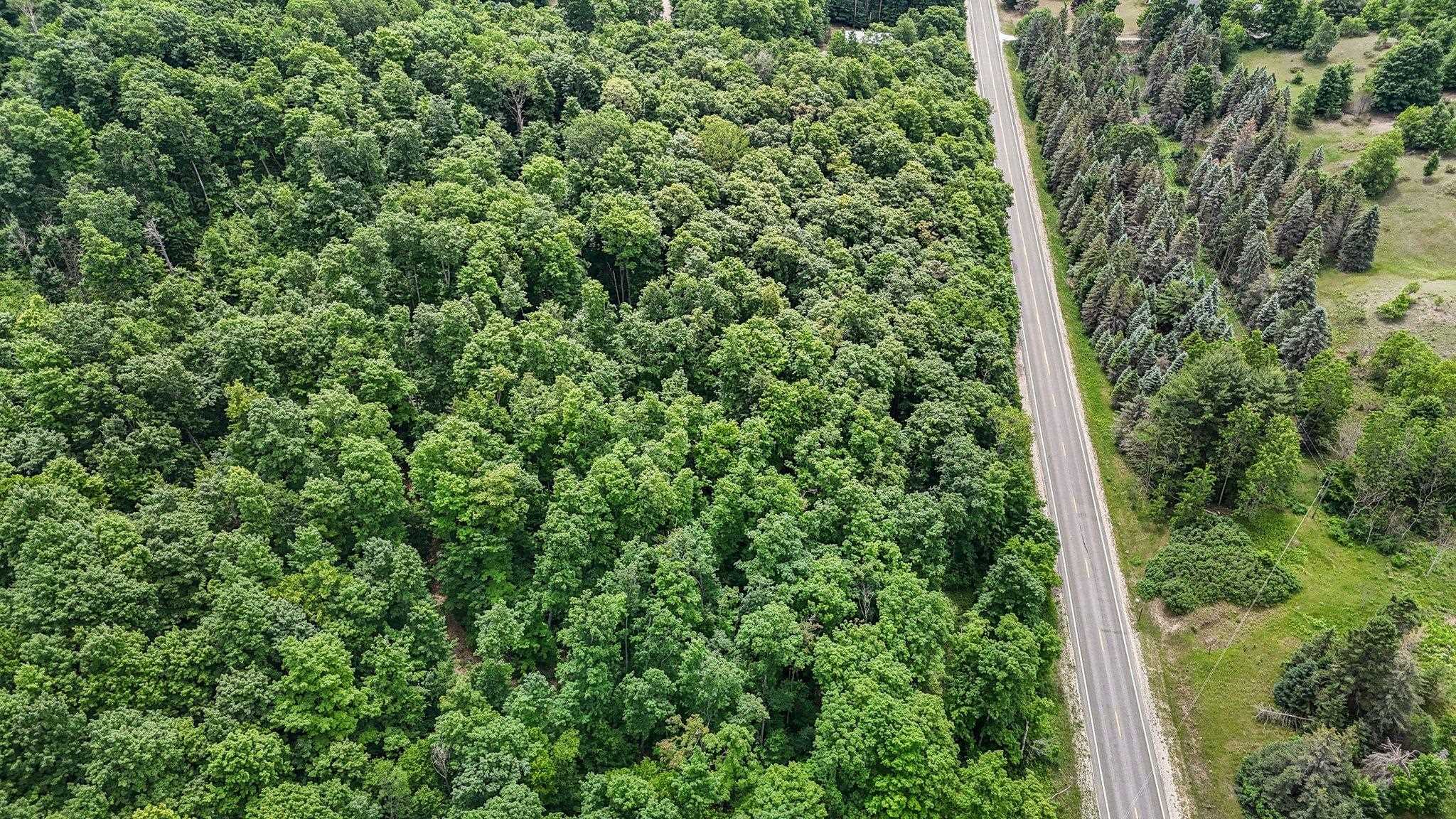 V/l South Coleman Road Maple City, MI 49664 - Photo 18 of 22