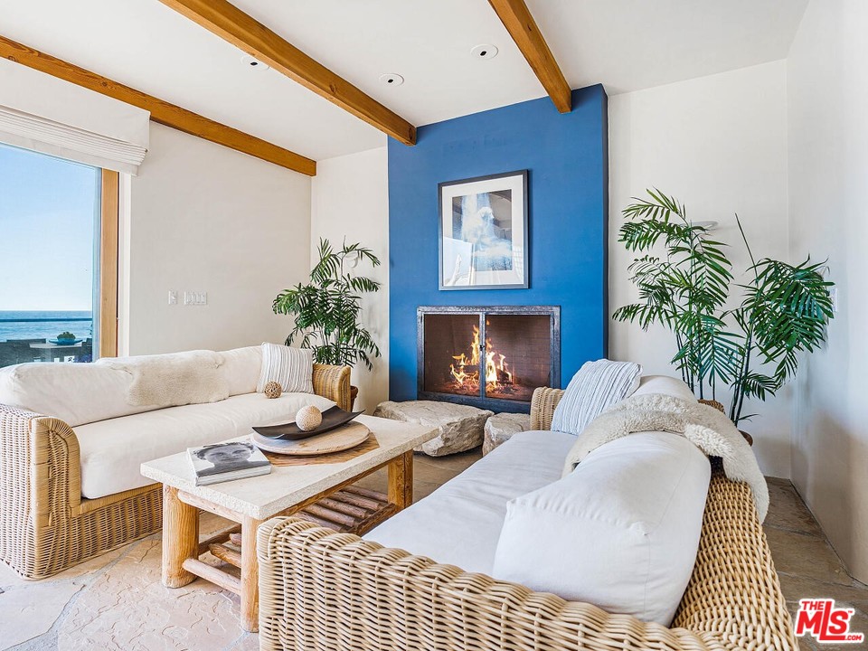 31376 Broad Beach Road Malibu, CA 90265 - Photo 14 of 26 a living room with furniture a fireplace and a potted plant