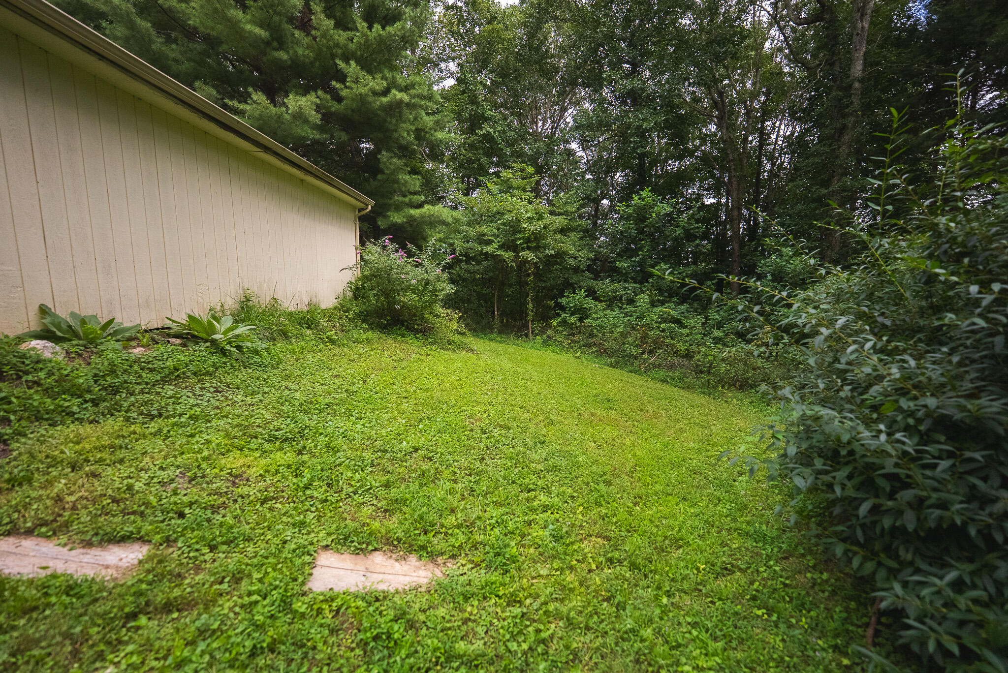 788 Jacks Mill Road Southeast Copper Hill, VA 24079 - Photo 59 of 73 DSC09550