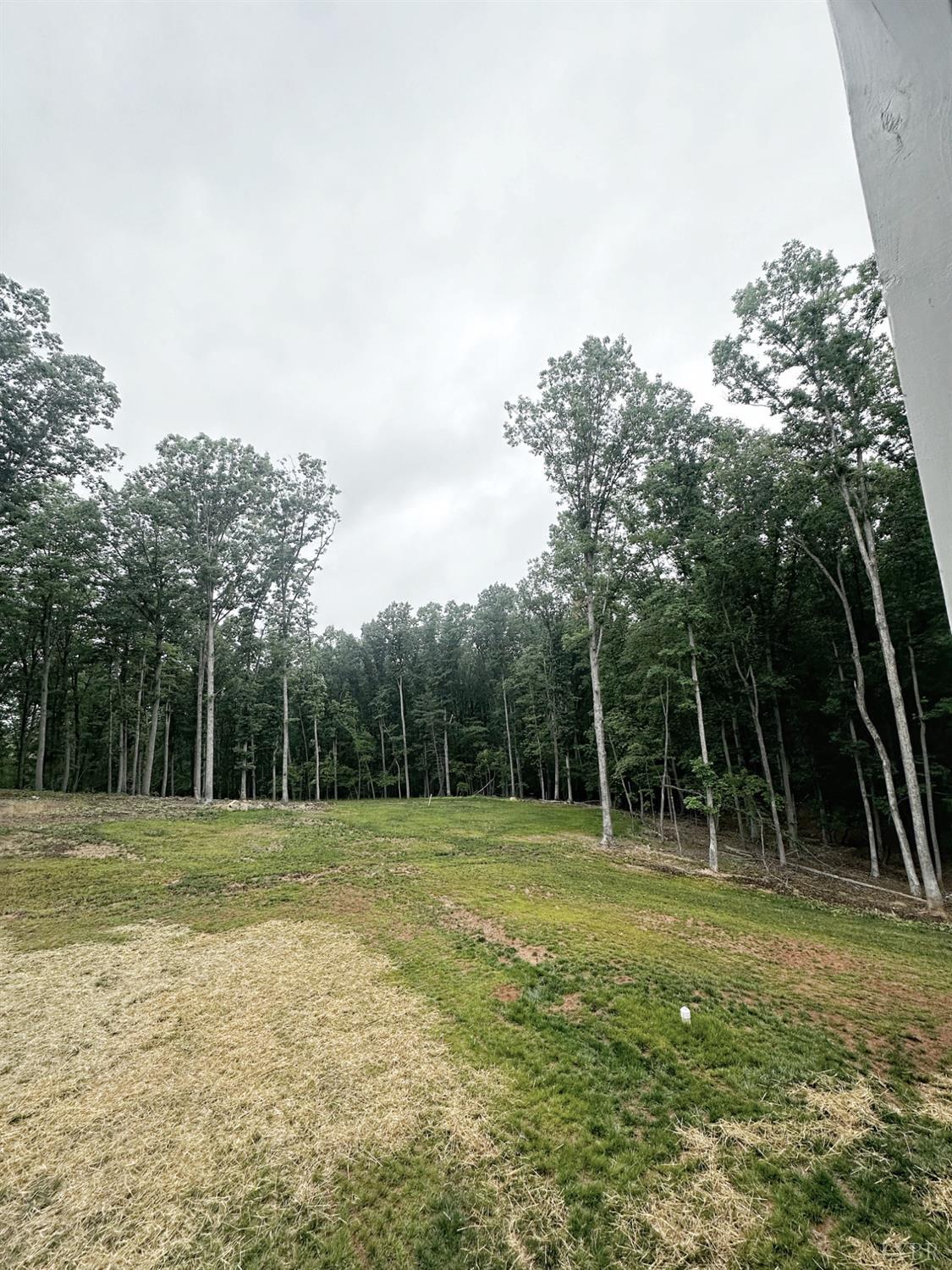 4969 Otterville Road Goode, VA 24556 - Photo 22 of 69 a backyard of a house with lots of green space