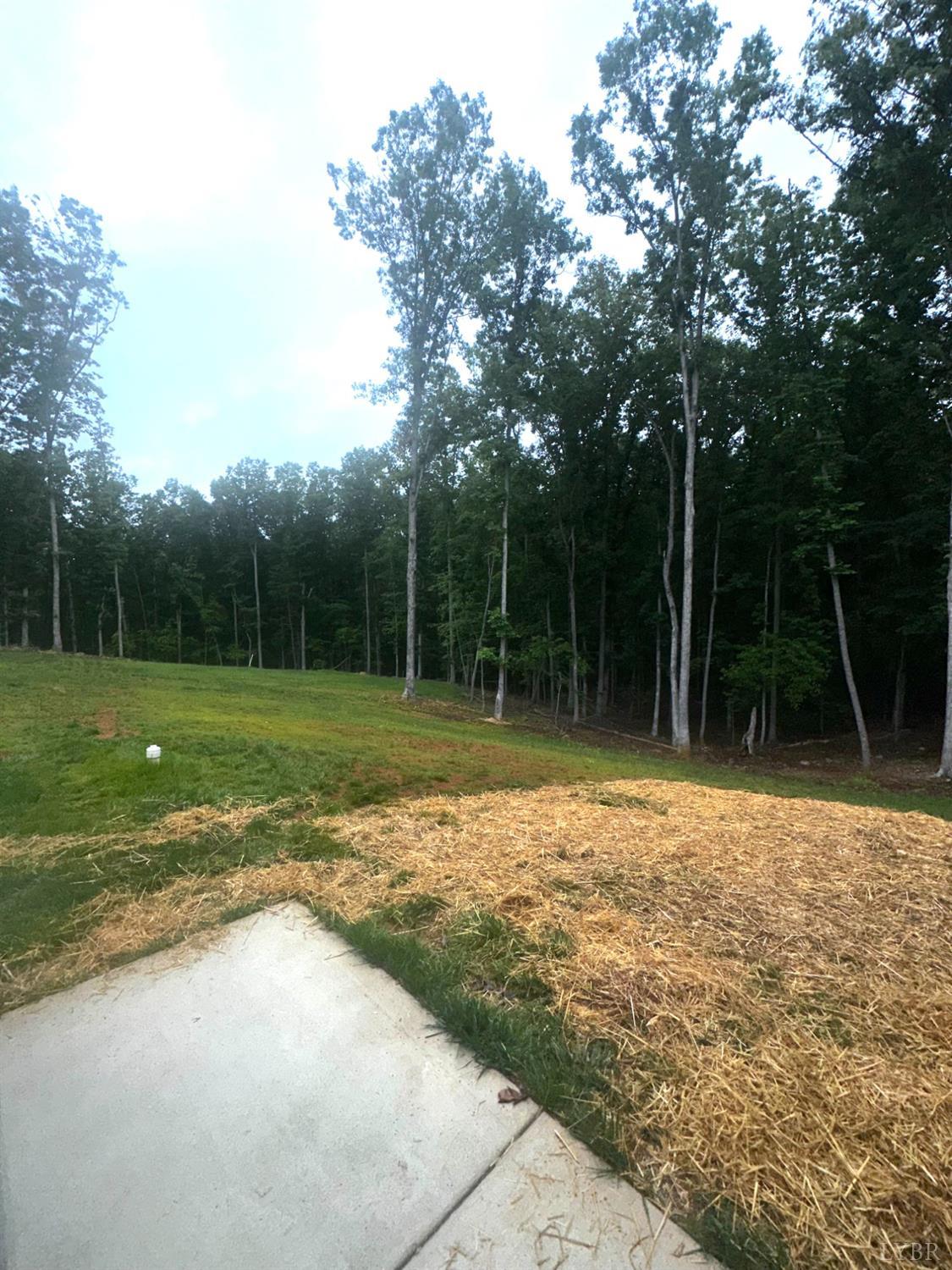 4969 Otterville Road Goode, VA 24556 - Photo 42 of 69 a view of a backyard with a trampoline