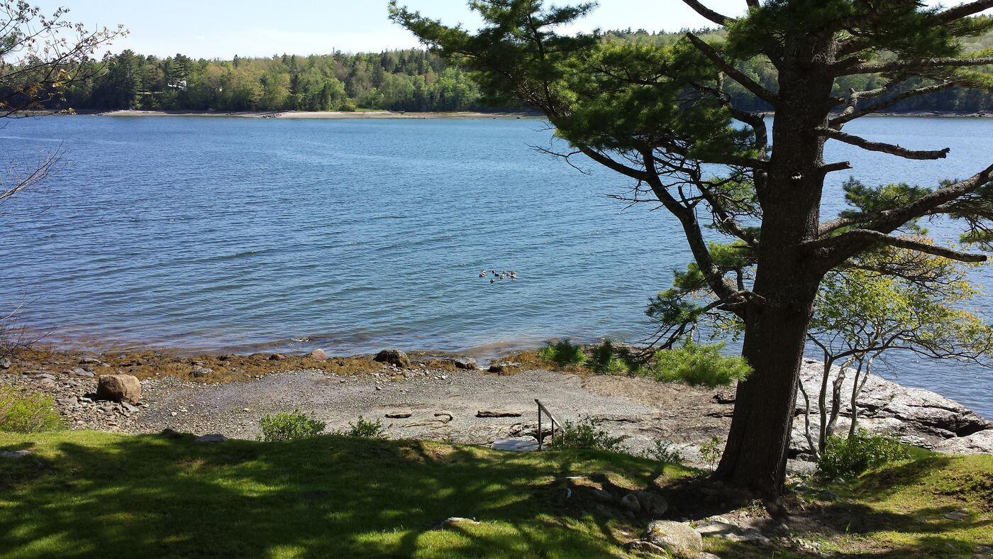 1008 Surry Road Surry, ME 04684 - Photo 56 of 64