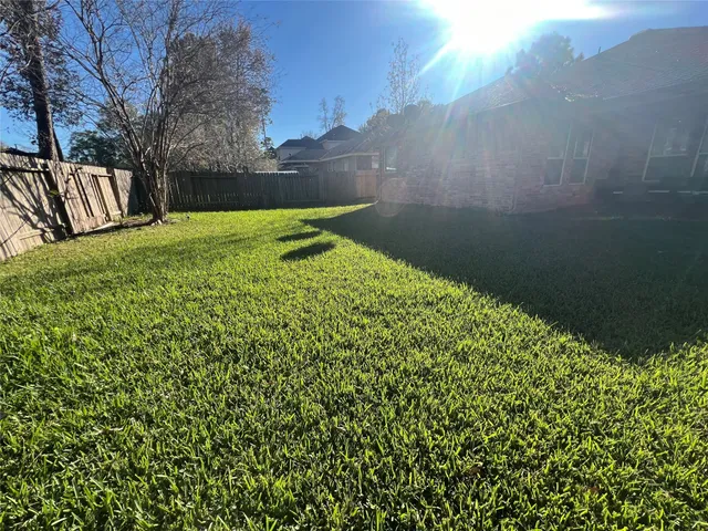 a view of a garden with an outdoor space