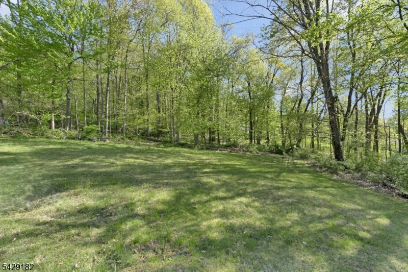104 Redmont Road Watchung, NJ 07069 - Photo 2 of 16